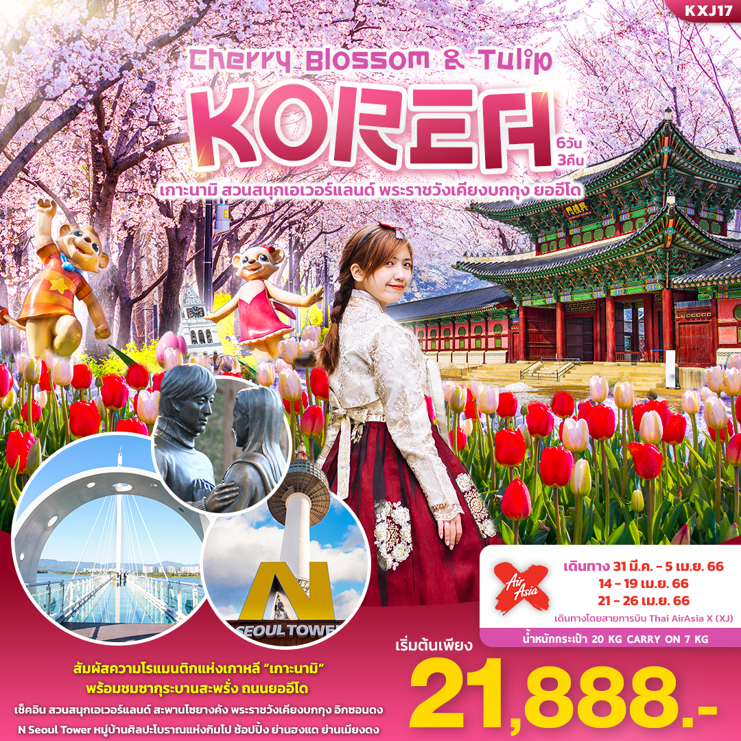 CHERRY BLOSSOM & TULIP KOREA